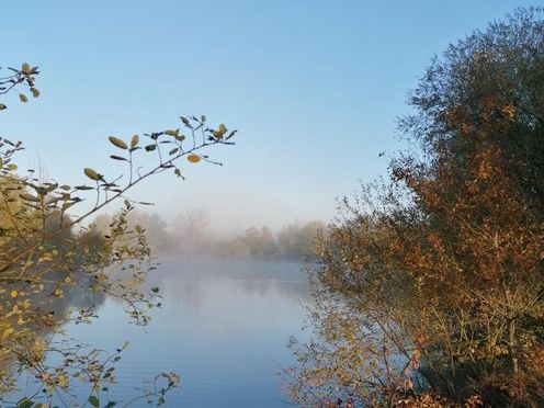 L'étang du domaine dans la brume