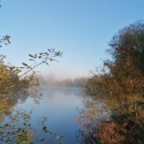 L'étang du domaine dans la brume