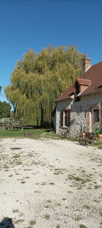 L'auberge et son saule pleureur