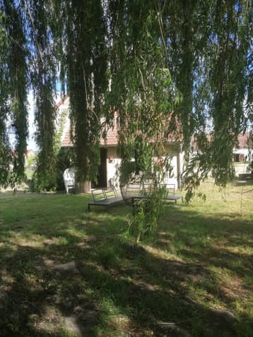 Jardin de l'auberge sous un saule pleureur