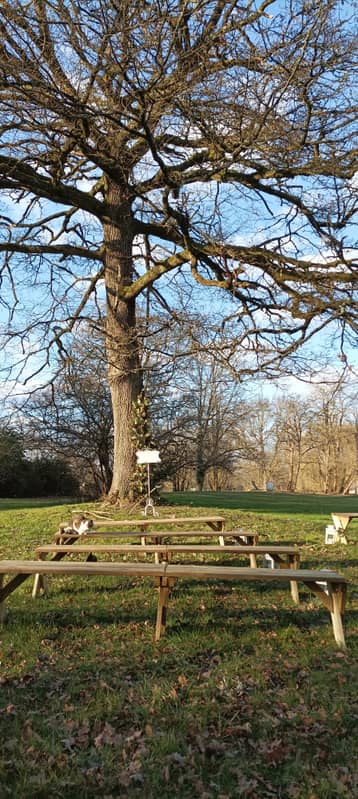 Chêne de la cérémonie laïque, bancs installés au pied de l'arbre