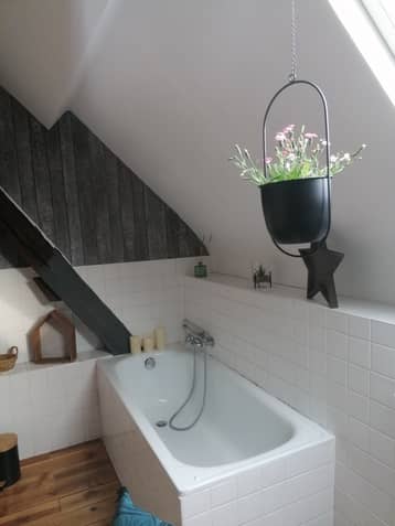 Salle de bain sous les combles, baignoire et plante suspendue