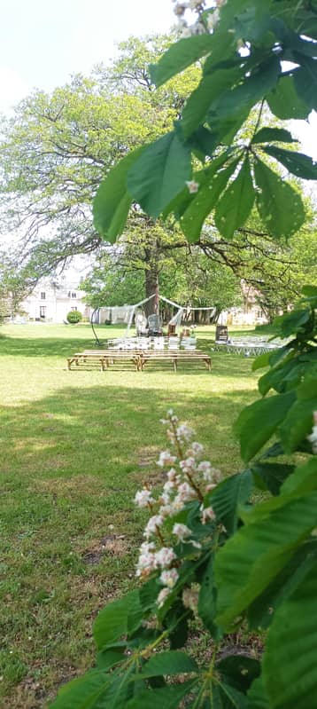 Pelouse prête pour une cérémonie en extérieur, marronnier en fleurs