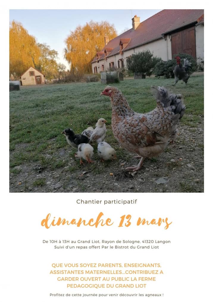 Affiche de la ferme pédagogique le 13 mars, avec des poules devant le bâtiment
