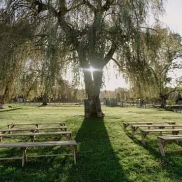 Espace de cérémonie laïque sous un saule pleureur, bancs en rangées