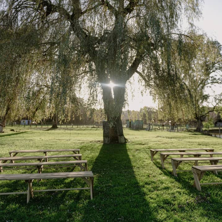 Espace de cérémonie laïque sous un saule pleureur, bancs en rangées