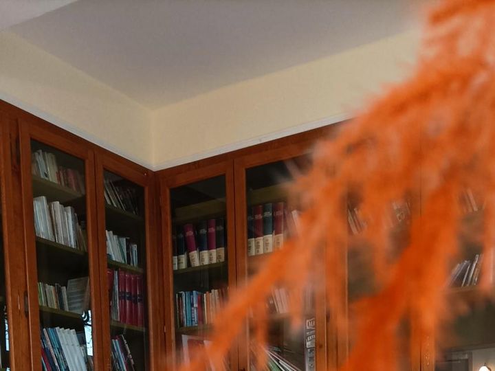Décoration de pampa orange dans l'espace bibliothèque du manoir