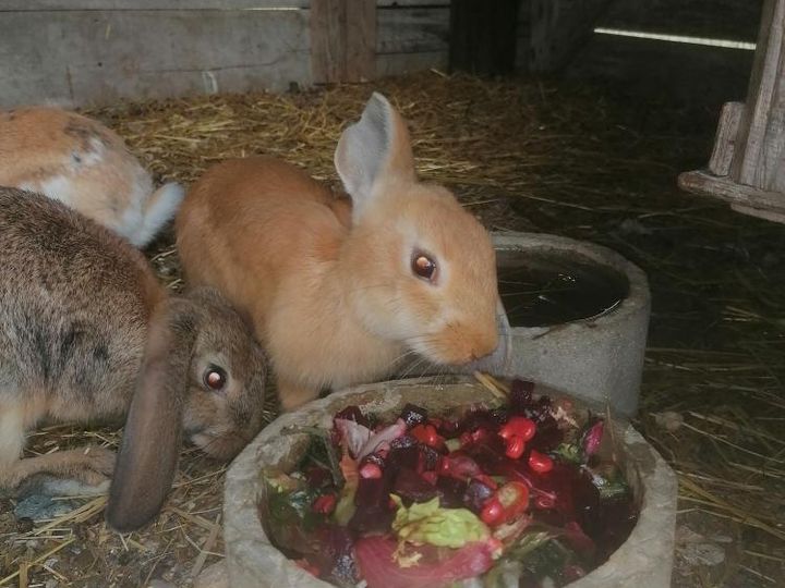notre ferme pédagogique