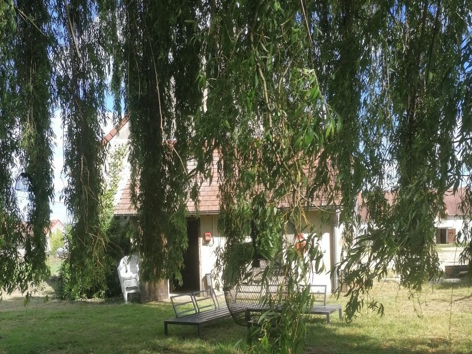 Jardin de l'auberge sous un saule pleureur