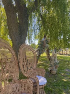 Espace de cérémonie sous les saules pleureurs