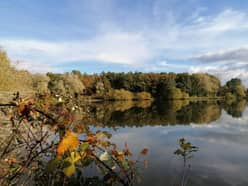 en bord de lac sologne