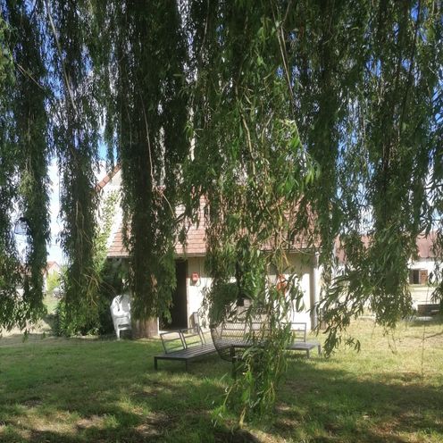 Jardin de l'auberge sous un saule pleureur