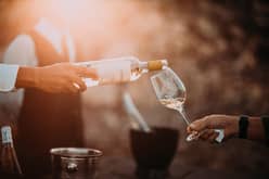 Verre de vin blanc servi lors d'une animation d'oenologie