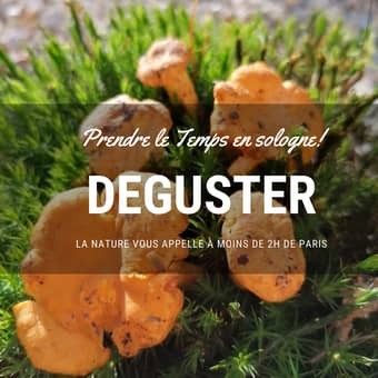 Sologne : déguster