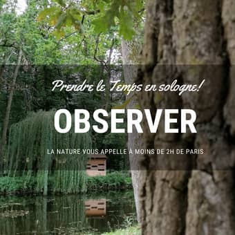 Sologne : observer