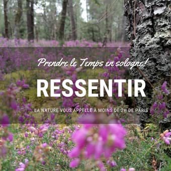 Sologne : ressentir