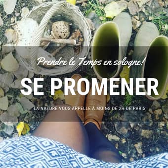 Sologne : se promener